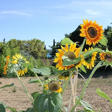 Sabadin 아파트 포르토로즈