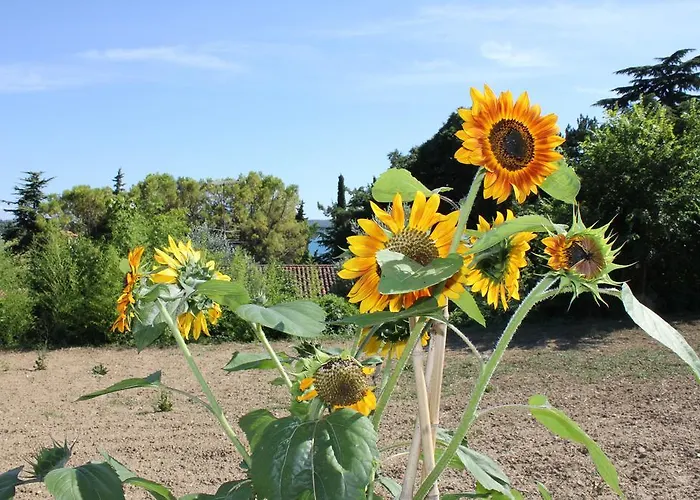 Sabadin Daire Portorož